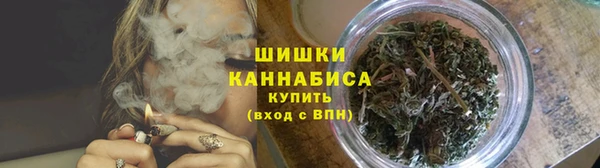 ГАЛЛЮЦИНОГЕННЫЕ ГРИБЫ Арсеньев