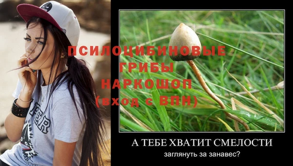 ГАЛЛЮЦИНОГЕННЫЕ ГРИБЫ Арсеньев
