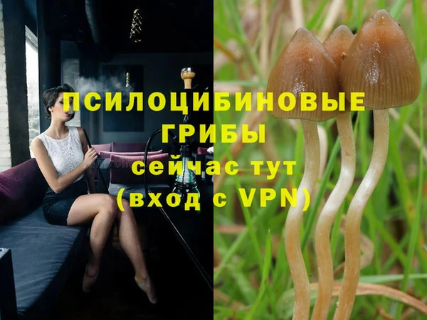 молекула духа Армянск